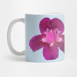 Penstemon  &amp;#39;Pensham Plum Jerkum&amp;#39;  Beard tongue Mug